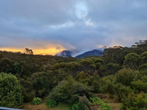 Magic in Medlow